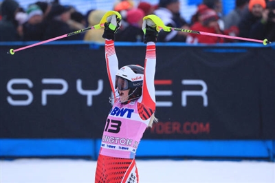 Katharina Gallhuber posters