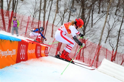 Katharina Gallhuber posters