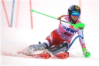 Katharina Gallhuber Tank Top #3641435