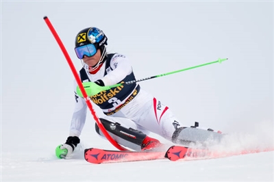 Katharina Gallhuber posters