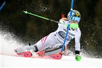 Katharina Gallhuber longsleeve t-shirt #3641447