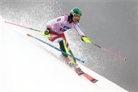 Katharina Liensberger longsleeve t-shirt #3641536