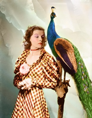 Katharine Hepburn posters