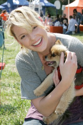 Katherine Heigl posters