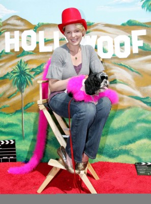 Katherine Heigl posters