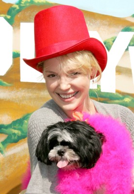 Katherine Heigl posters