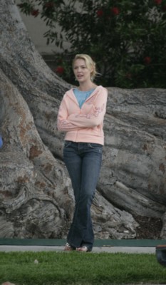 Katherine Heigl posters