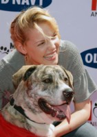 Katherine Heigl t-shirt #1426024