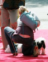 Katherine Heigl Tank Top #1426029