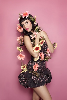 Katy Perry Poster 2305795