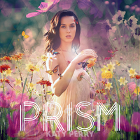 Katy Perry Longsleeve T-shirt #2377131
