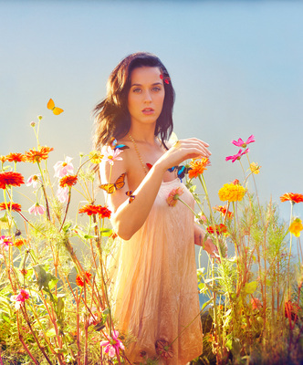 Katy Perry Poster 2377132