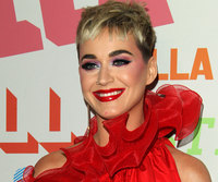 Katy Perry Longsleeve T-shirt #2958405