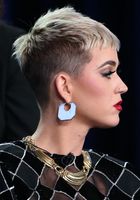Katy Perry Sweatshirt #2958672