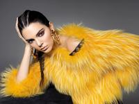 Kendall Jenner Sweatshirt #2445963