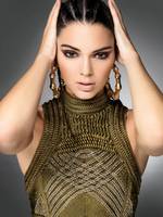 Kendall Jenner Sweatshirt #2445965