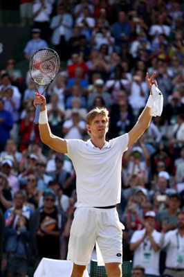 Kevin Anderson Poster 3367249