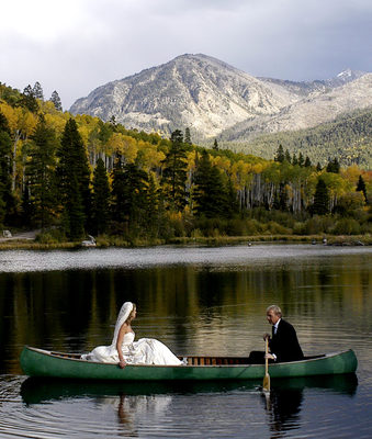 Kevin Costner posters