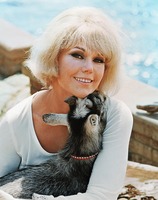 Kim Novak Sweatshirt #2551792