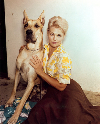 Kim Novak posters
