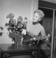 Kim Novak t-shirt #2551893