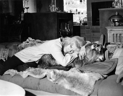 Kim Novak posters