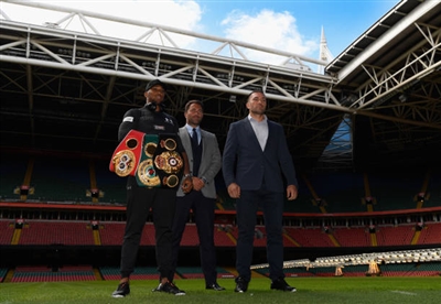 Kubrat Pulev posters