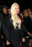 Lady Gaga Longsleeve T-shirt #2629235