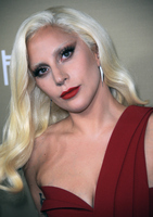Lady Gaga Longsleeve T-shirt #2629434