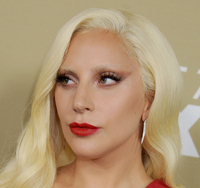 Lady Gaga Longsleeve T-shirt #2629439