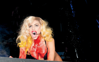 Lady Gaga Longsleeve T-shirt #2629477