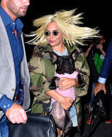 Lady Gaga Longsleeve T-shirt #2629498