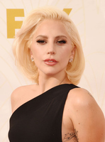 Lady Gaga Longsleeve T-shirt #2629504