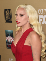 Lady Gaga Longsleeve T-shirt #2629596