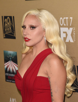 Lady Gaga Longsleeve T-shirt #2629648