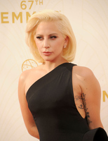 Lady Gaga Longsleeve T-shirt #2629831