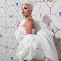 Lady Gaga Longsleeve T-shirt #2630180