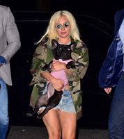 Lady Gaga Longsleeve T-shirt #2630455