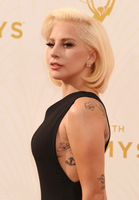 Lady Gaga Longsleeve T-shirt #2630529