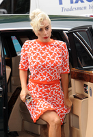 Lady Gaga Longsleeve T-shirt #2630647