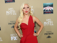 Lady Gaga Longsleeve T-shirt #2630803