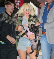 Lady Gaga tote bag #G873088