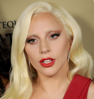 Lady Gaga Longsleeve T-shirt #2631063