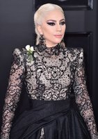 Lady Gaga Longsleeve T-shirt #3004418