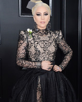 Lady Gaga Longsleeve T-shirt #3004432