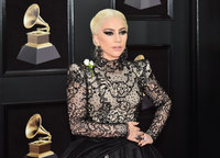 Lady Gaga Longsleeve T-shirt #3004497