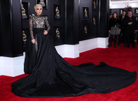 Lady Gaga Longsleeve T-shirt #3004498