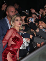 Lady Gaga Longsleeve T-shirt #3004509