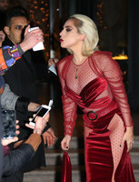 Lady Gaga Longsleeve T-shirt #3004516