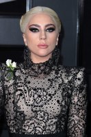 Lady Gaga Longsleeve T-shirt #3004525